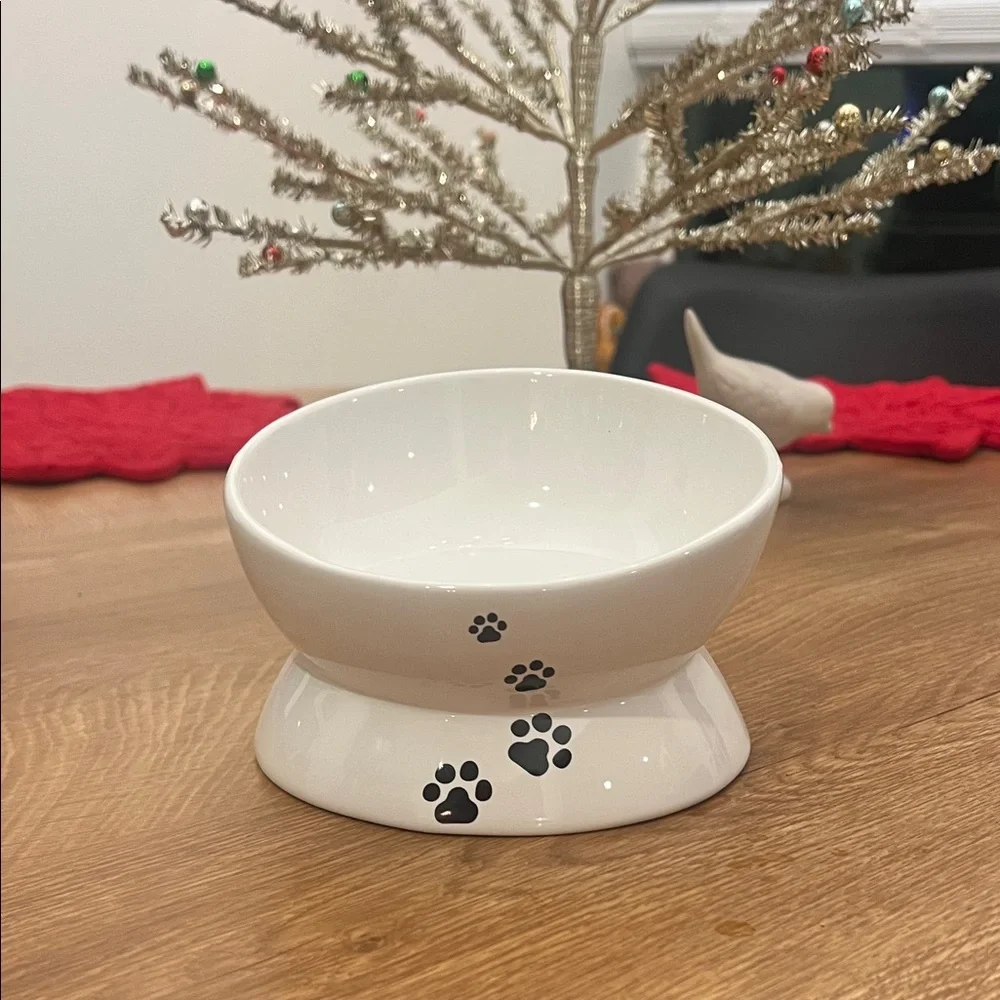 Elevated Cat Bowl with Cute Paw Design
